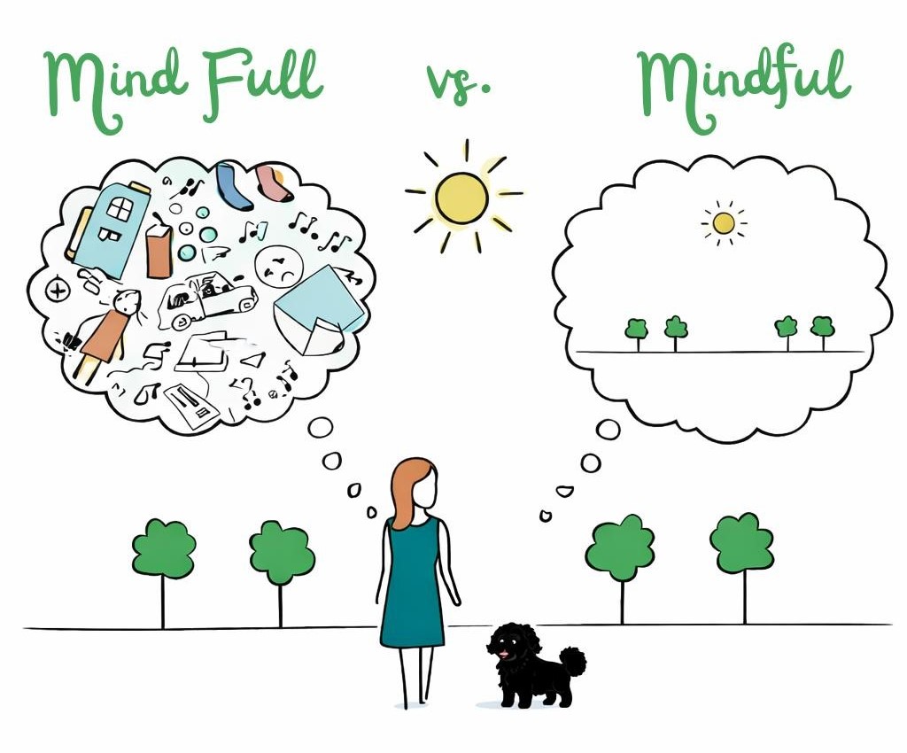 Mind full vs mindful